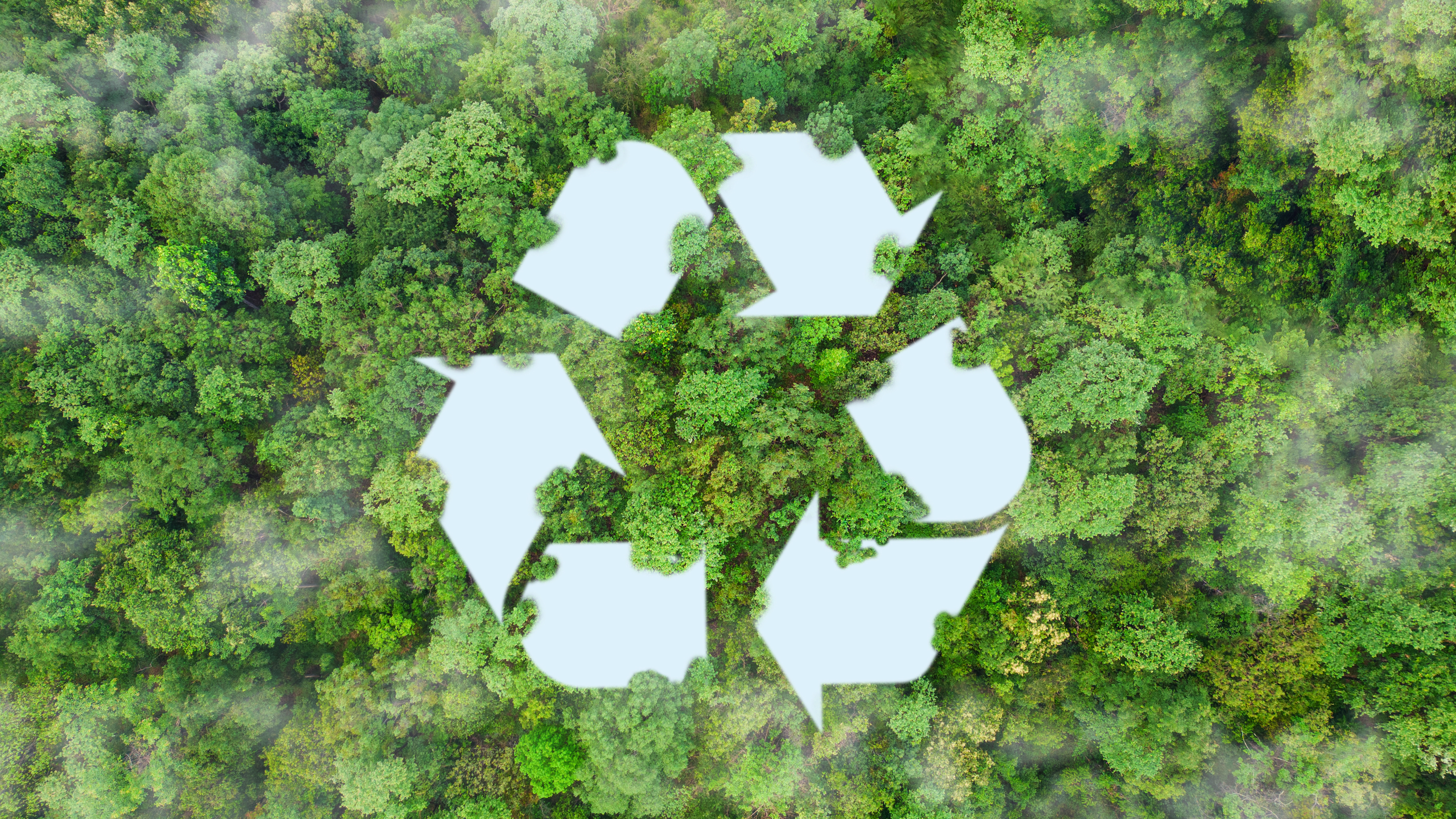 Commitment to a Circular Economy