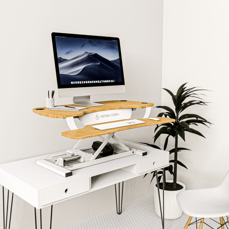 ergonomic niche affiliate marketing earning potential guide for standing desk products