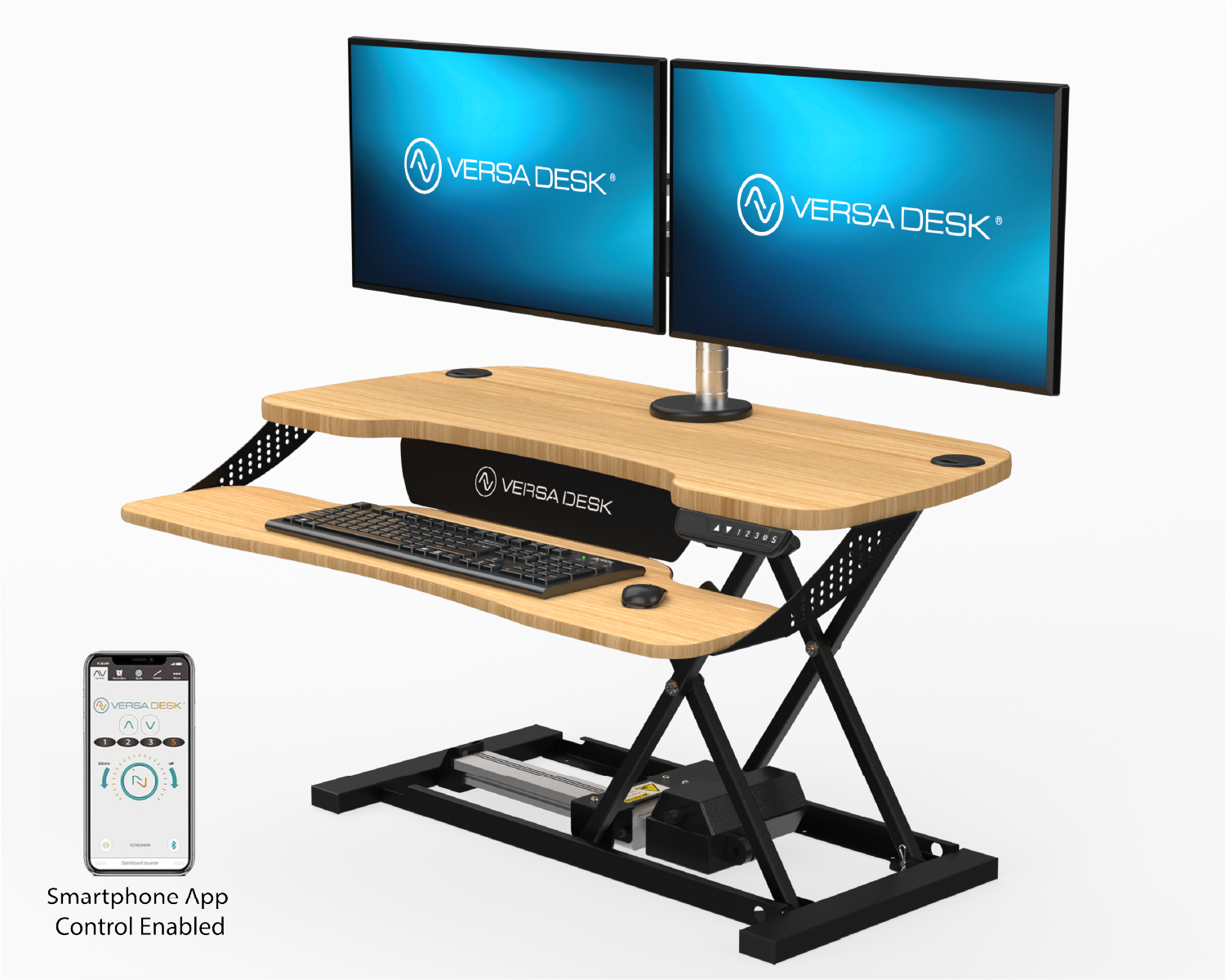 Desktop Riser